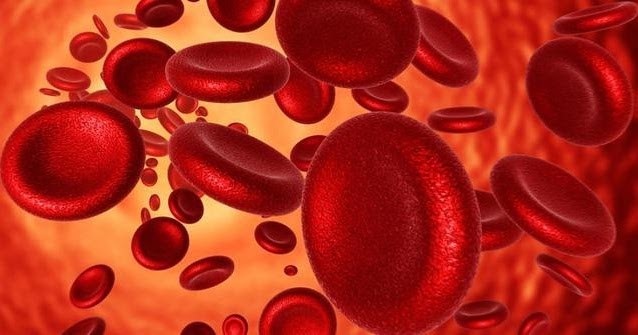 10 Tanda Darah Membeku di Tubuh ~ Tips Orang Sehat