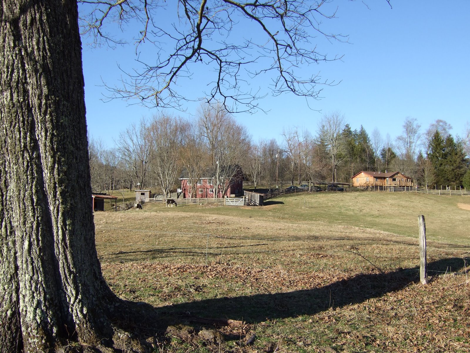 Western NC mini farm for sale... Western NC mini farm located between