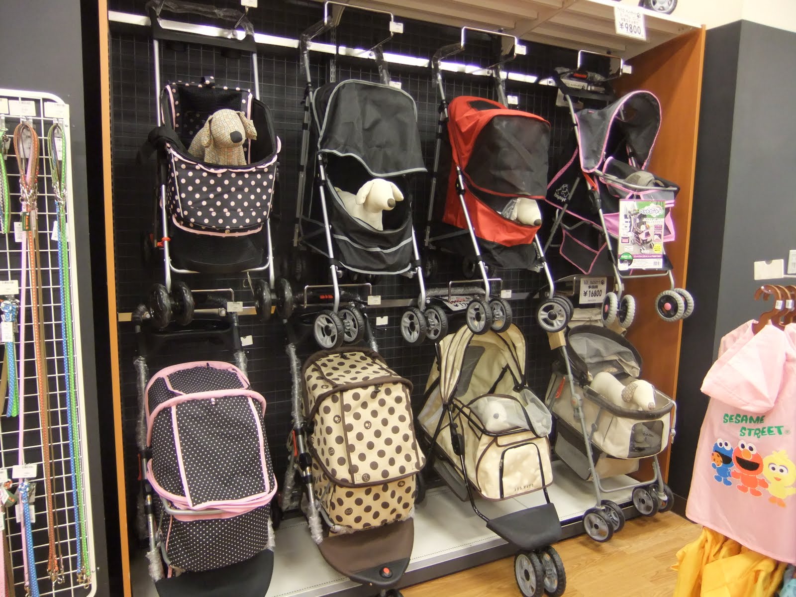 Gintonic's Japan Memo: A Typical Japanese Pet Shop