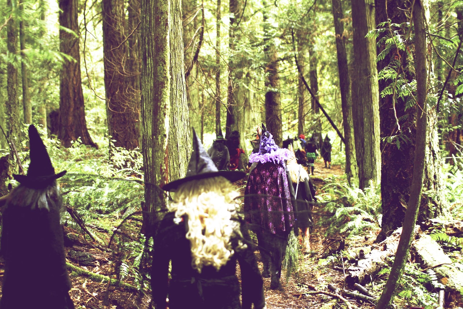 Witches in the Woods by Lisarey Photography Gabriola Witch Project Witches in the Woods by Lisarey Photography Gabriola Witch Project