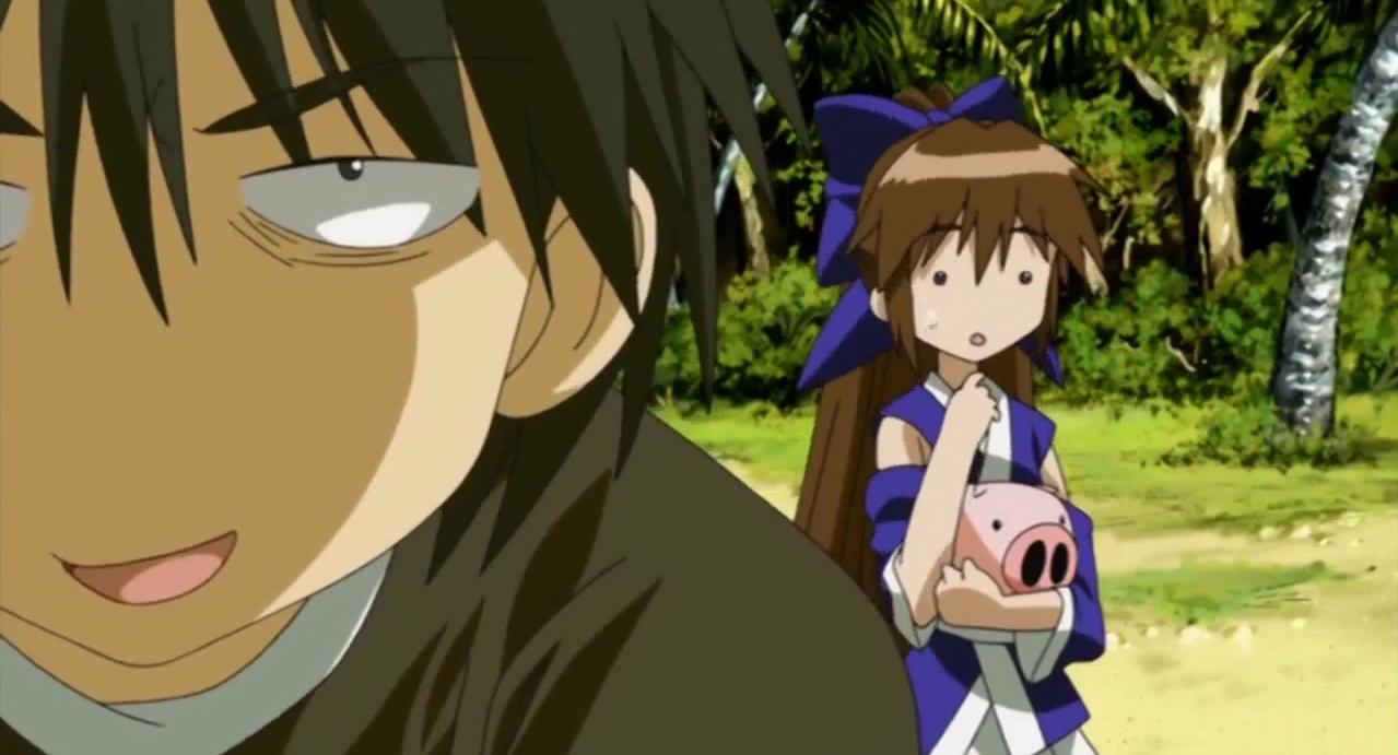 Остров айран