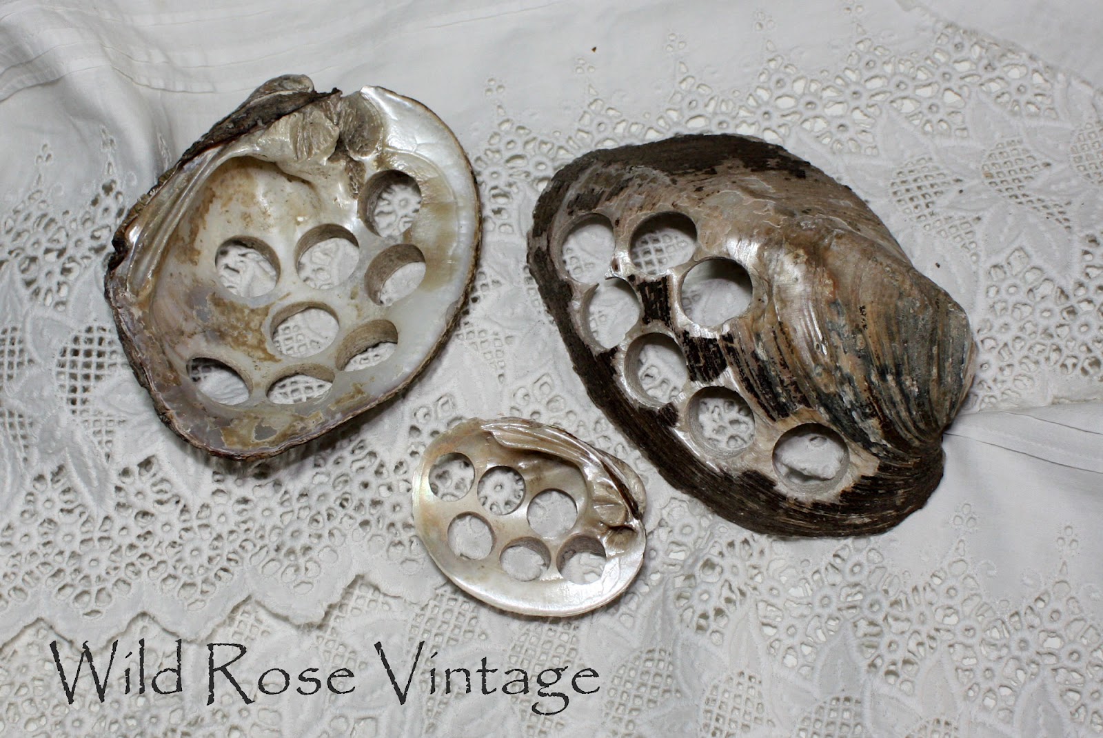 Bella Rosa Antiques Mother of Pearl Buttons Shell Shocking History