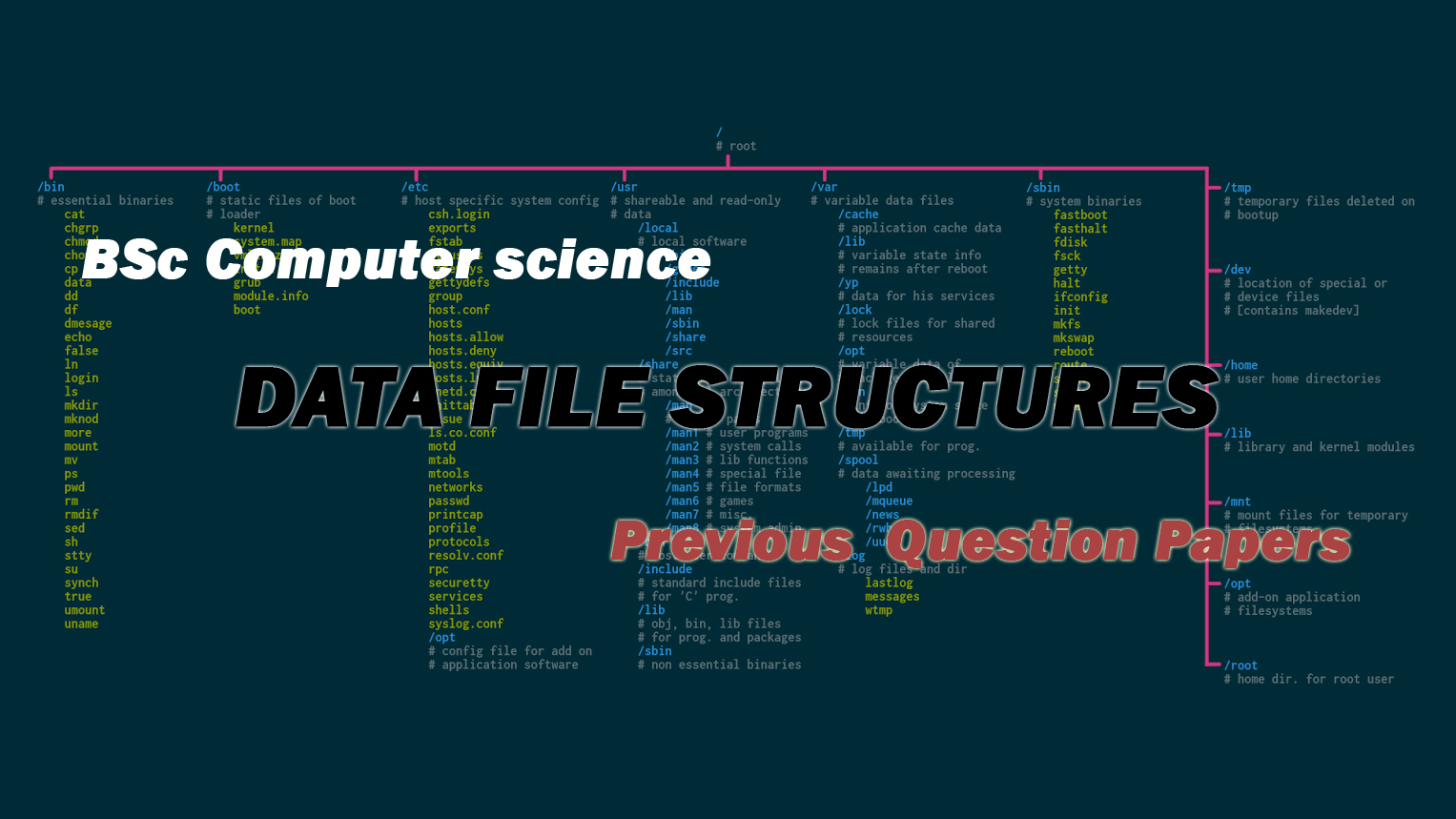 BSc Computer Science Data File Structures Previous Question Papers