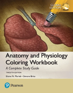 The Complete Human Body The Definitive Visual Guide Pdf