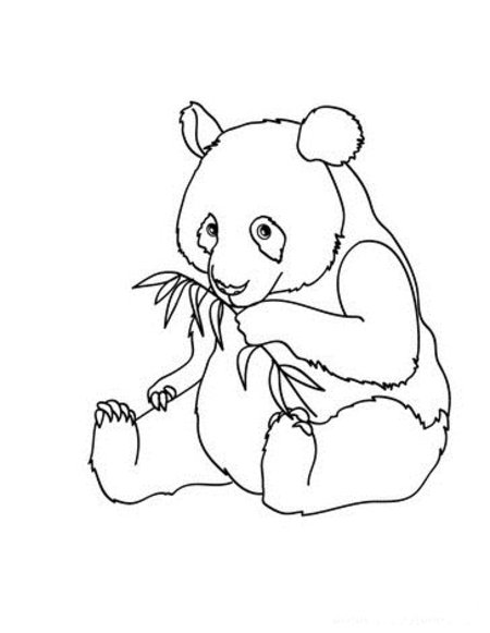panda bear coloring pages - photo #3