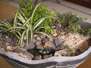 Tukang Taman (Taman Mini Dalam Pot) | Miniatur Taman Untuk Hiasan Ruang Tamu, Ruang Kerja Dan Ruang Santai