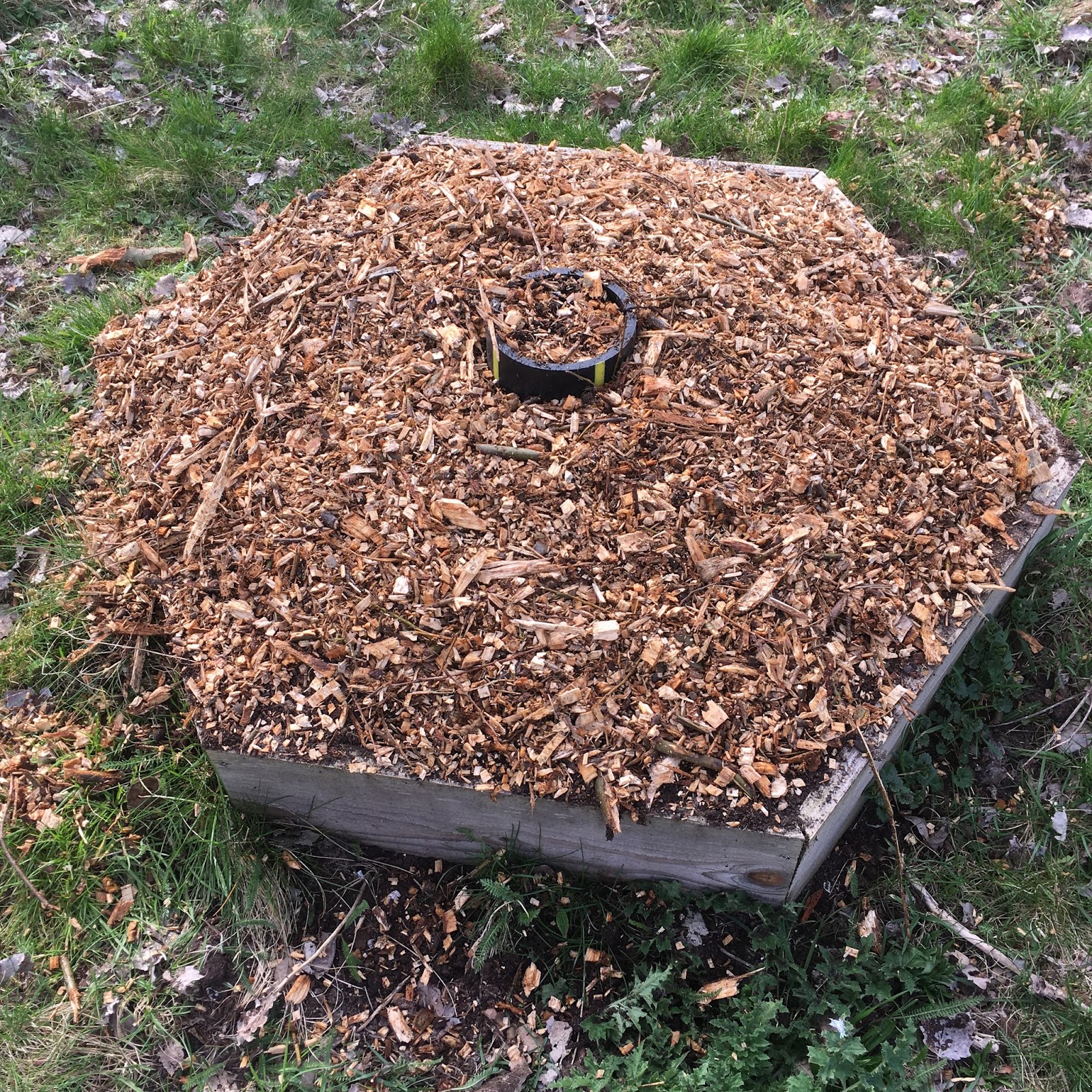 Le Compostier Back To Eden Gardening In A Honeycomb Gardenbox