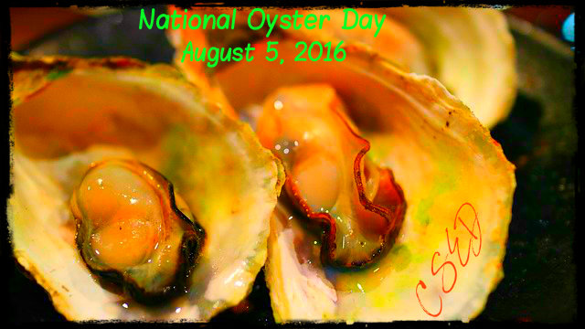 Crazy Days To Celebrate August 5 2016 Crazy Days To Celebrate August 5 2016
