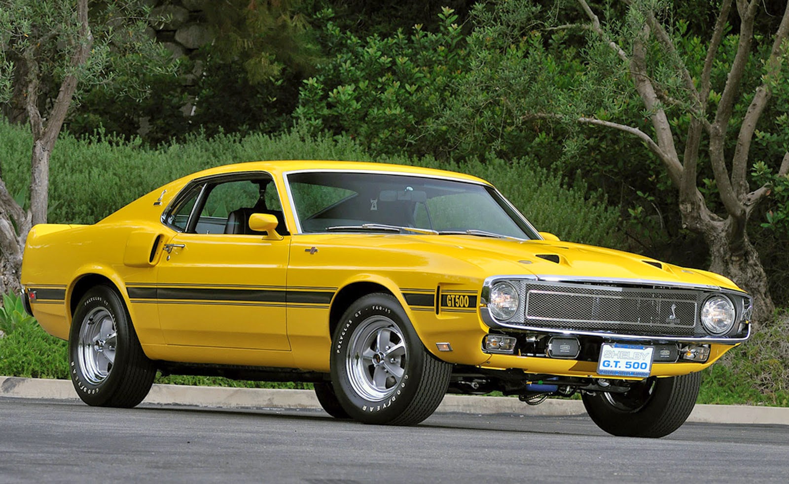 Tofu Cars Shelby GT500 1969 is up for Sale