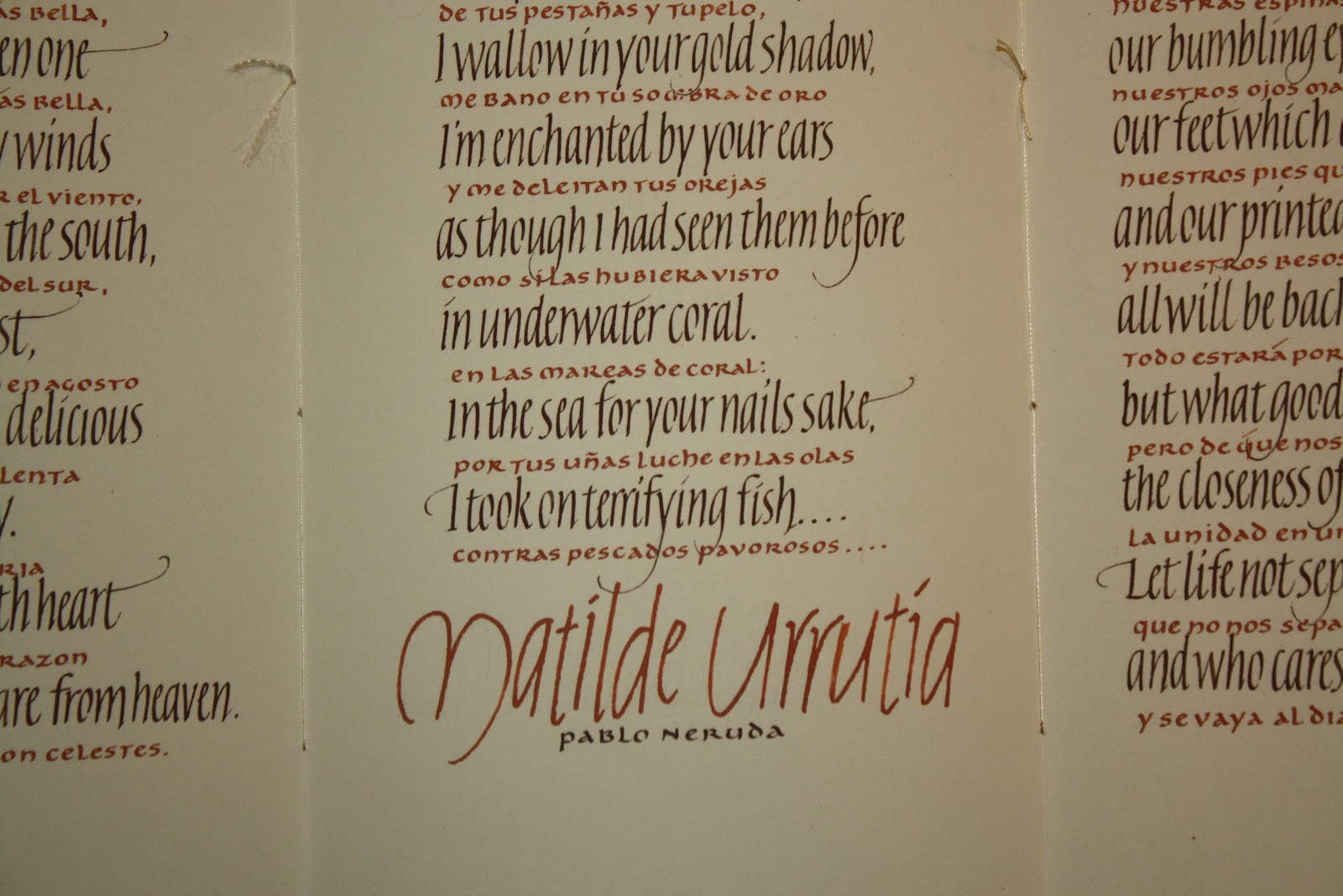 Fortress of Enchantment: Diane Amarotico - Matilde Urrutia - A Neruda