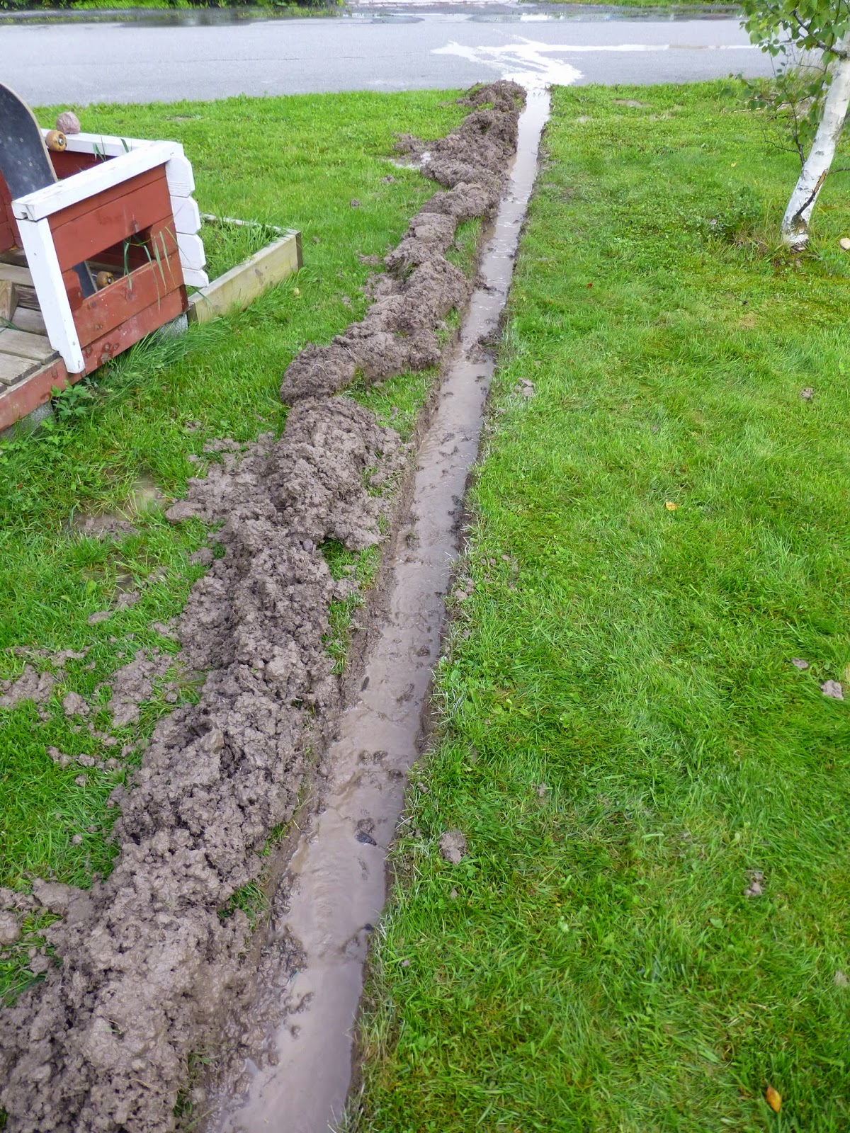 Alexandras Garten in Schweden August 2014