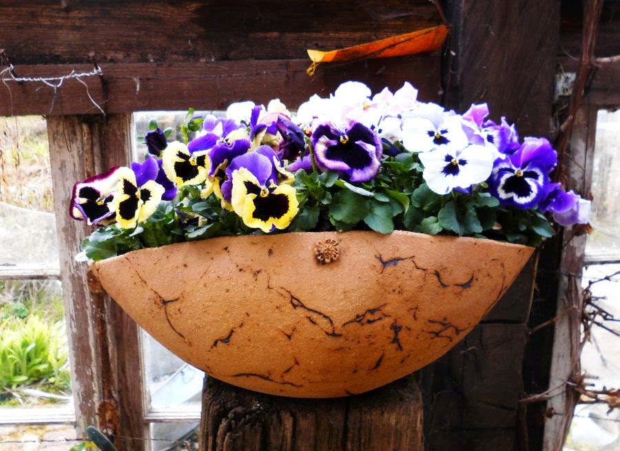 Töpfern für den Garten Keramikpflanzschale mit Stiefmütterchen