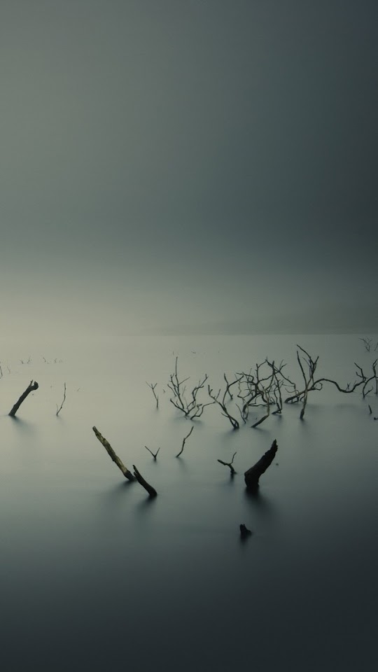 Calm Lake Overcast Dead Trees  Galaxy Note HD Wallpaper