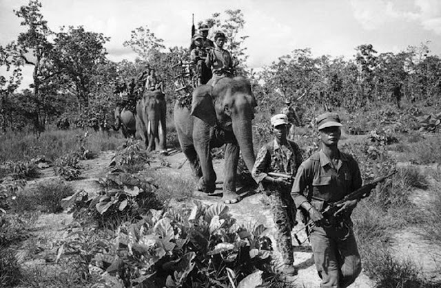 Южновьетнамские солдаты патрулируют местность,  используя слонов, во время войны во Вьетнаме. 1964 год