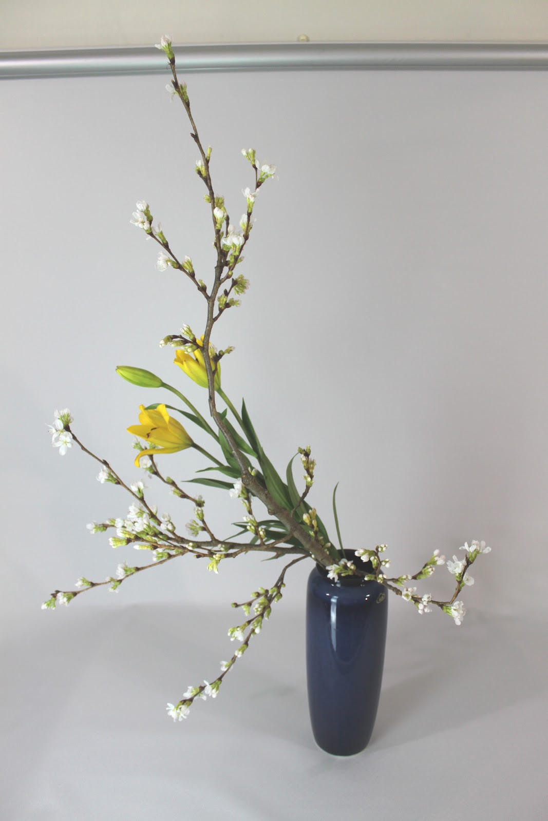 hanamai-the-ikebana-blog-sakura-japanese-cherry-blossoms