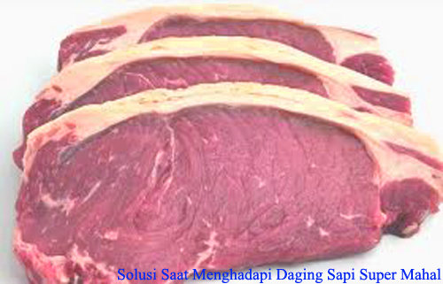 Solusi Saat Menghadapi Daging Sapi Super Mahal Solusi Saat Menghadapi Daging Sapi Super Mahal