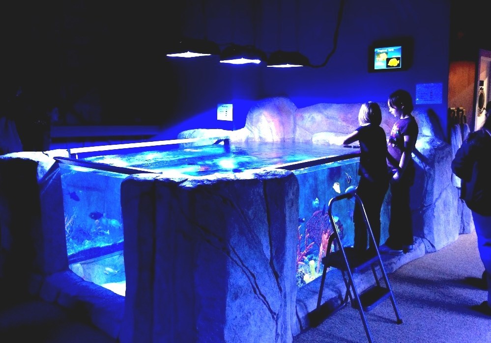 Portland Aquarium Portland Aquarium Oregon