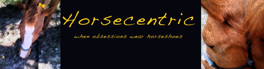 HorseCentric