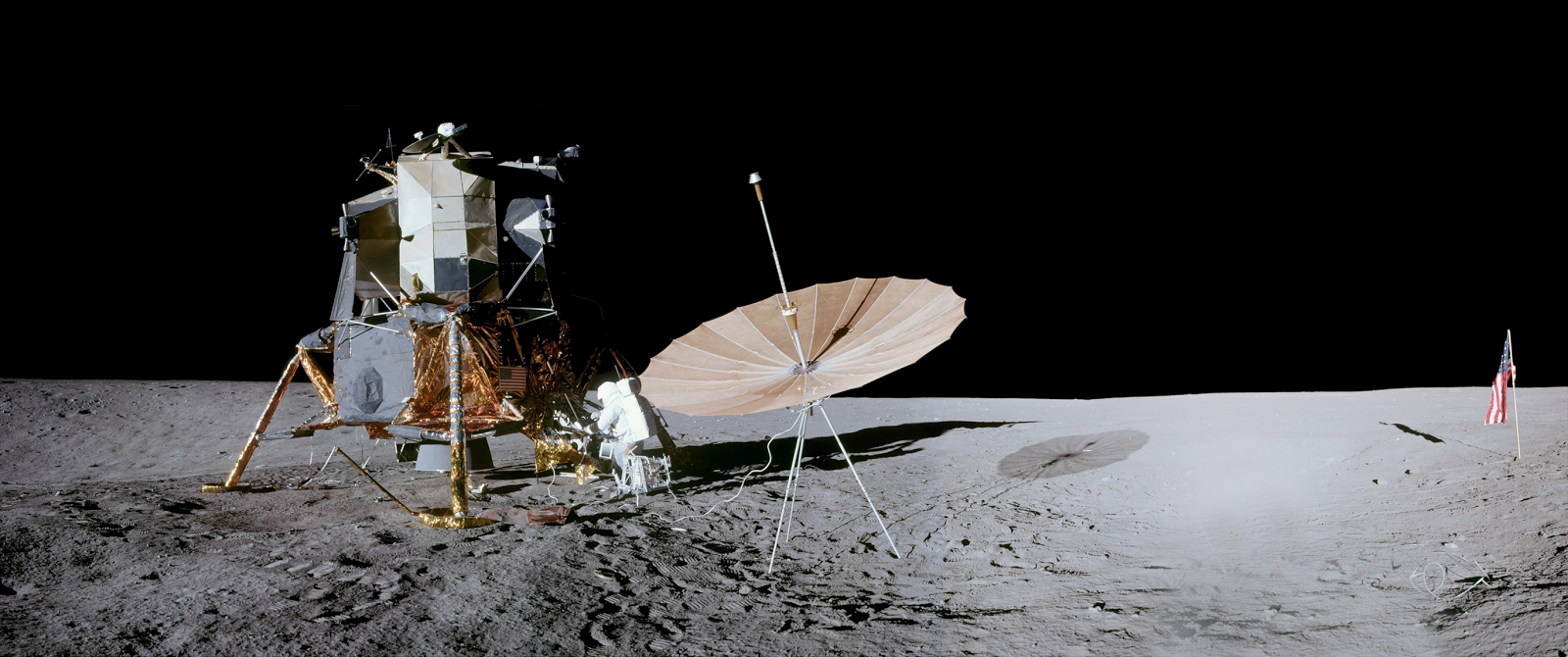 «аполлона бельведере» леокария. давид микеланджело. ренессанс аполлон. аполлон (мифол. аполлон запись.