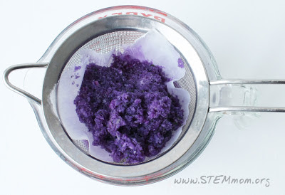 Strain cabbage bits through a strainer, and reserve the concentrated juice for soaking pH paper: STEMmom.org
