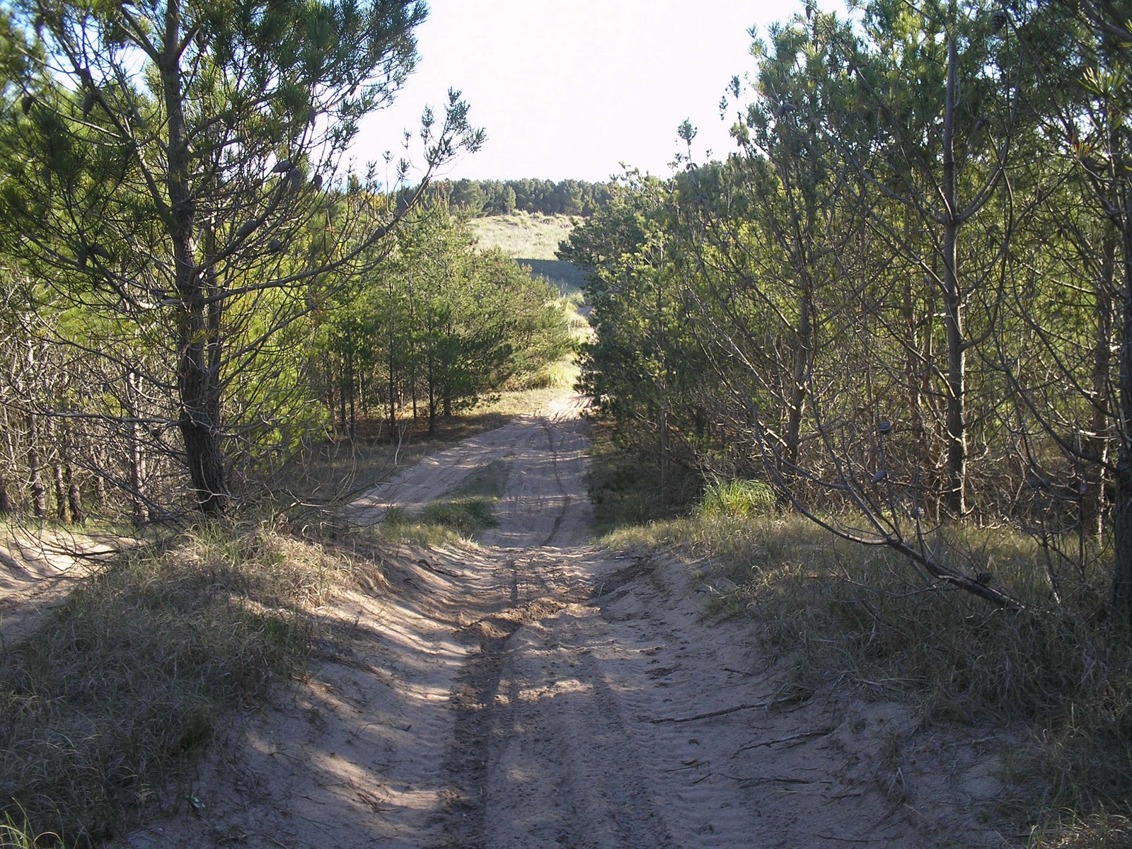 Boleto para pasear Miramar