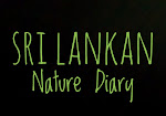 Srilankan Nature Diary