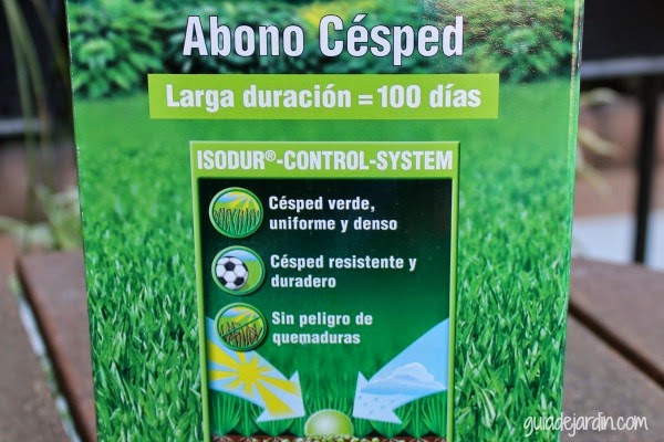 Paso a paso: Resembrando en primavera las zonas dañadas del césped