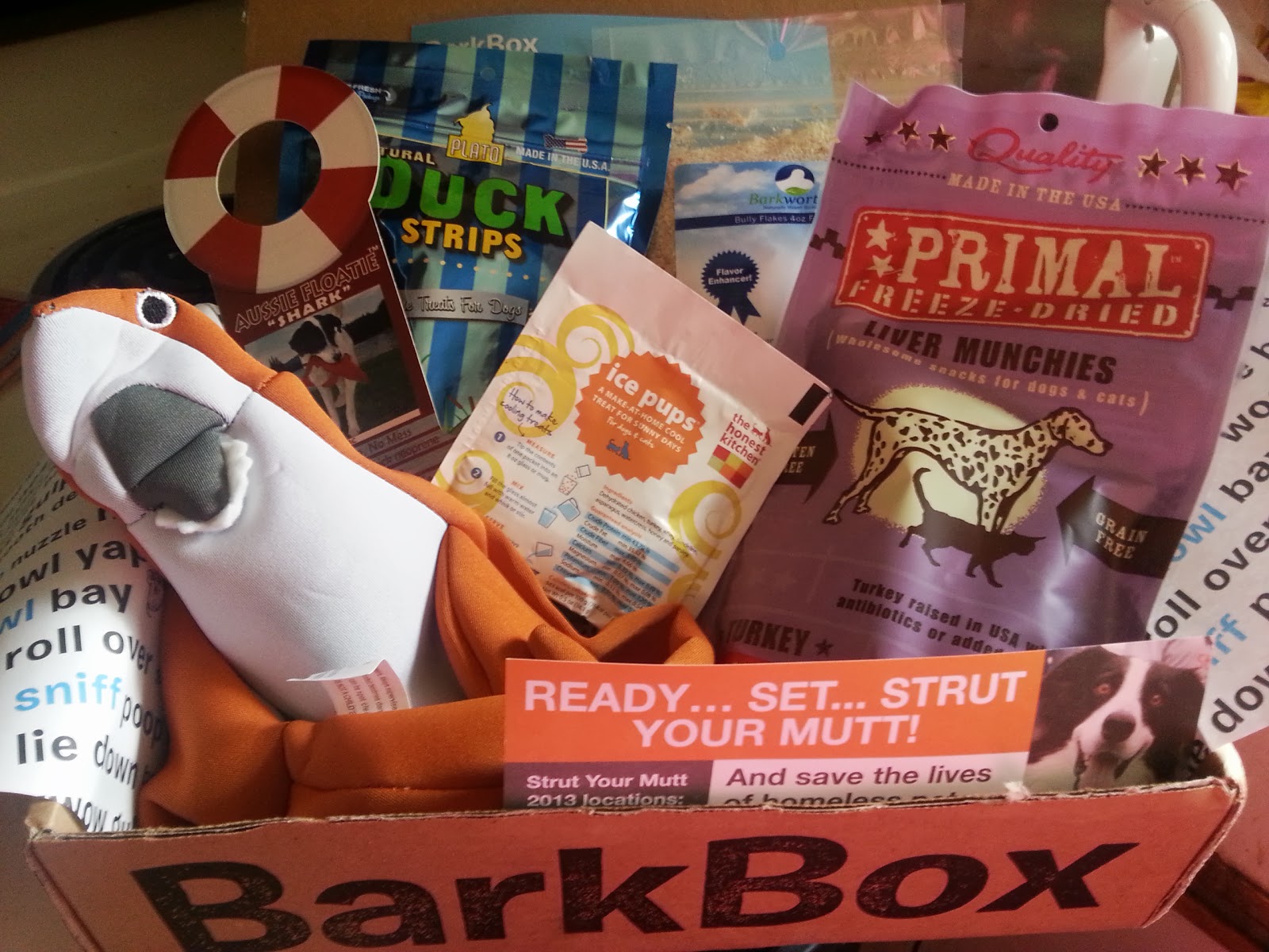 Kelley's Dog Blog Bark Box 5