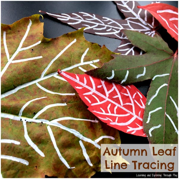 Autumn Leaf Lines with Chalk