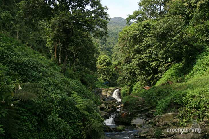 curug nangka bogor
