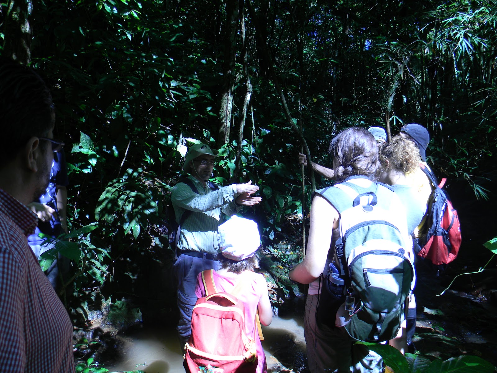 Natural Center Mayaguez Natural Center Mayaguez