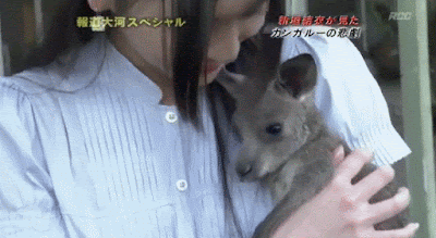 %25EC%25BA%25A5%25EA%25B1%25B0%25EB%25A3