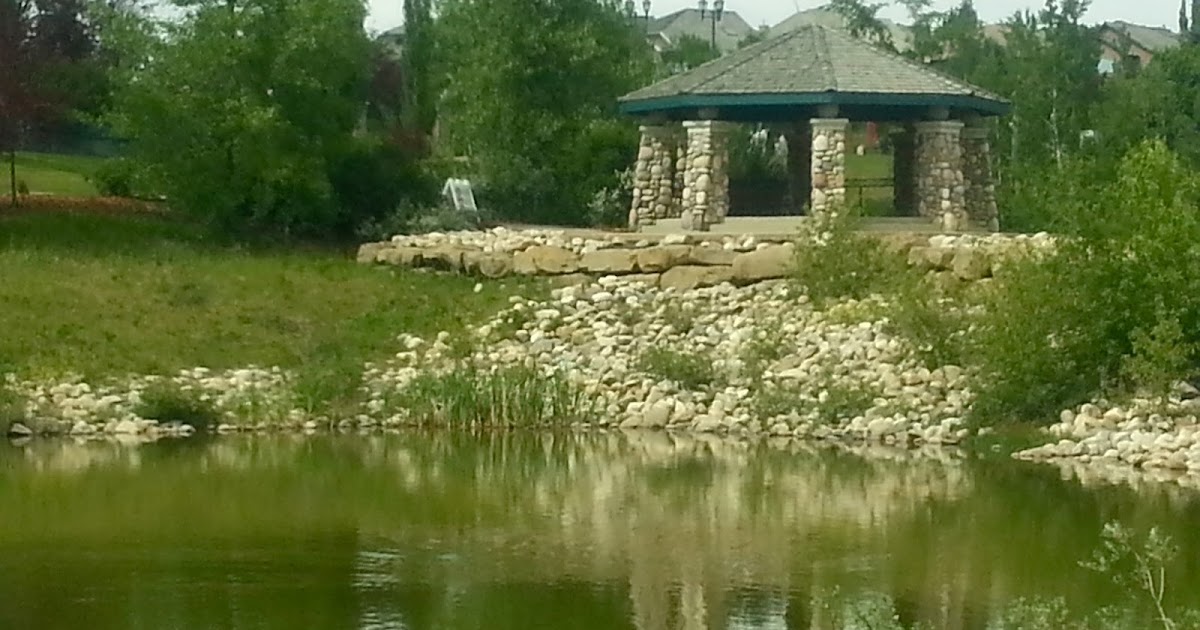 Walking Calgary Royal Oak Gazebo Ponds