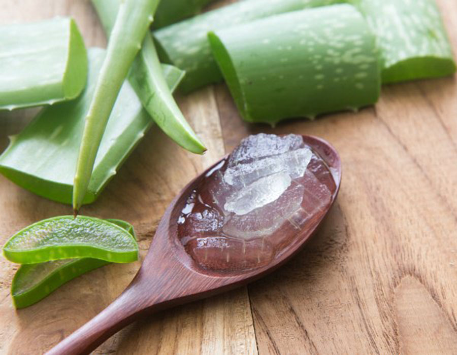 3 CARA MEMBUAT MASK ALOE VERA UNTUK SEMUA JENIS KULIT Busyra Takiyudin