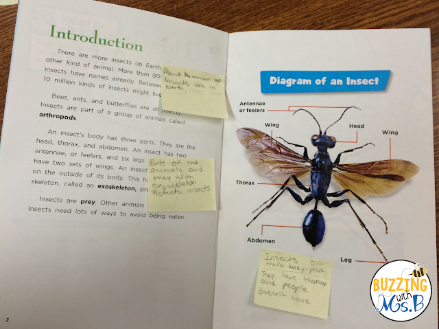 Looking for tips on how to get your kids to apply test-taking strategies? Even better, struggling to fit in guided reading when you're barely getting through your day? Here's my #1 tip on bridging guided reading to test prep in upper elementary. This post explains how to use a purpose question to have students apply their reading comprehension strategy that you're teaching them in guided reading! Don't give up on guided reading in test prep season before you read this post! 