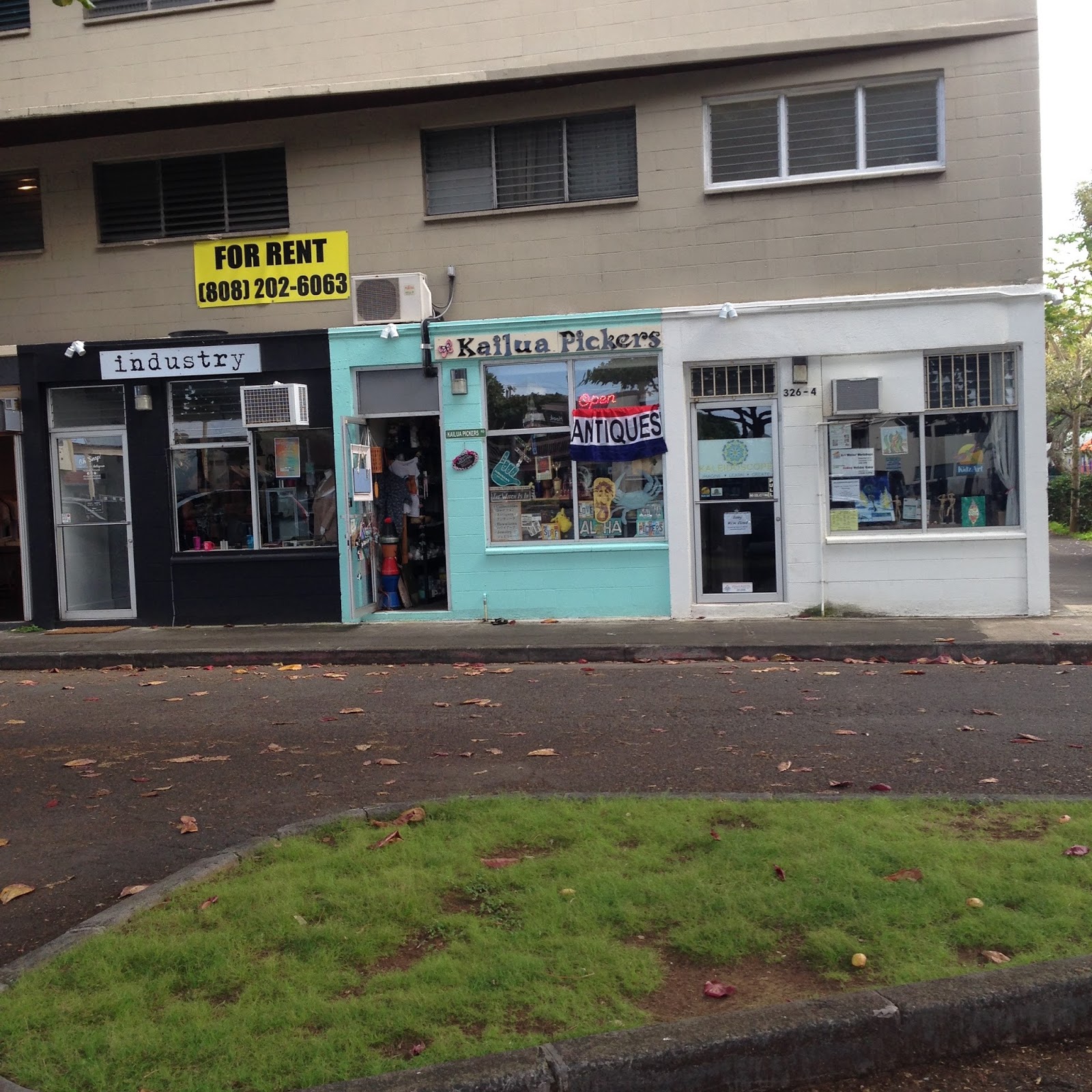 Wonkyworld Oahu vintage shopping