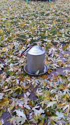 chicken waterer keep freezing coop ground fall