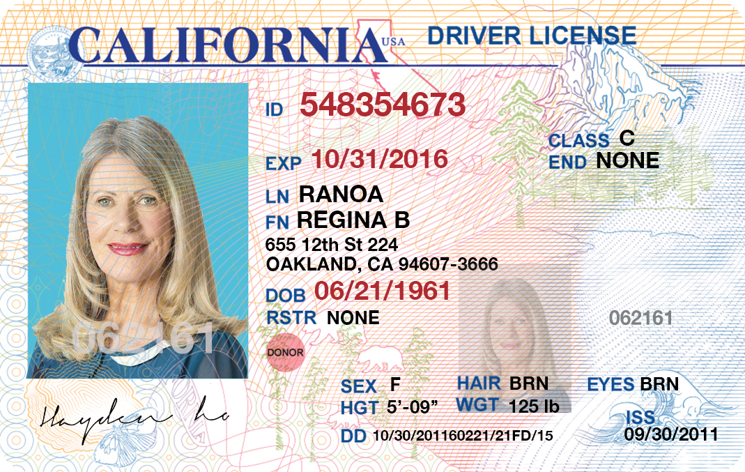 How To Make A Fake Michigan Driver S License How To Make A Fake Michigan Driver S License
