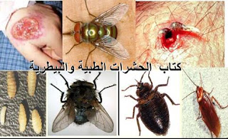 الحشرات الطبية والبيطرية pdf