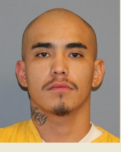 mcso-news-grand-junction-family-surprised-by-intruders