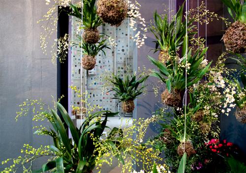 Những mẫu vườn treo ngoại thất đẹp cho ngôi nhà của bạn Vuon-treo-day