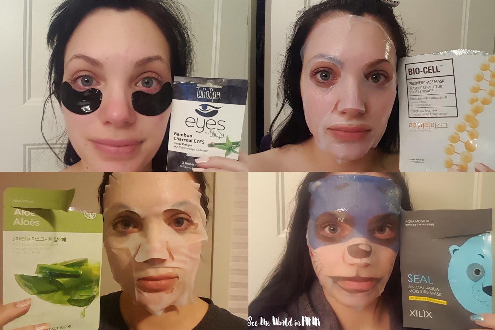 January 2019 Month in Masks 