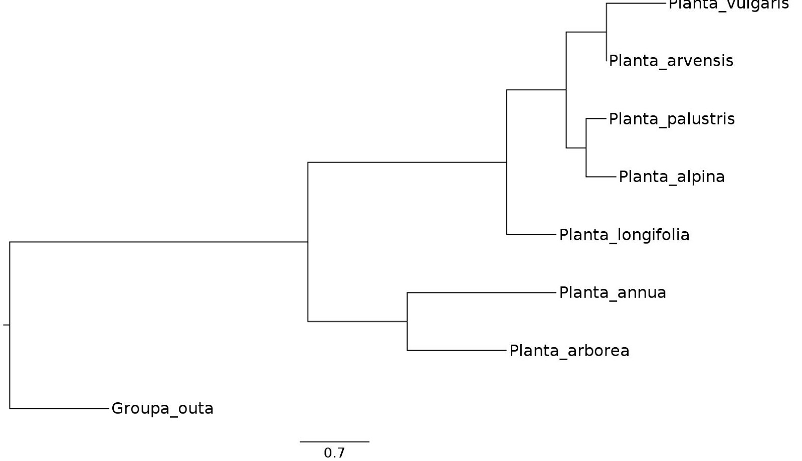 Phylogenetic Tree Template