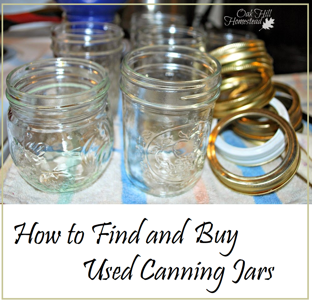How to Find and Buy Used Canning Jars Oak Hill Homestead