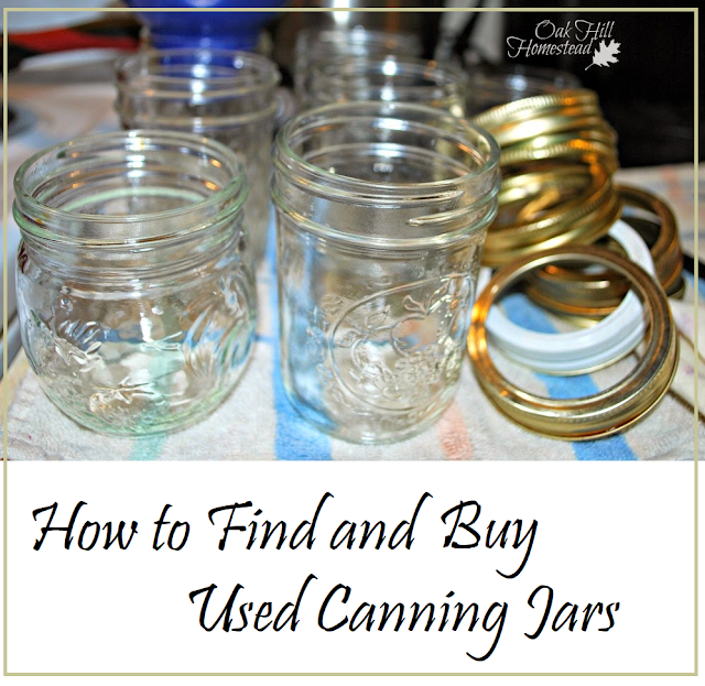 How to Find and Buy Used Canning Jars Oak Hill Homestead