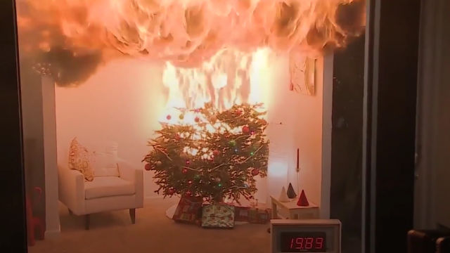 Como prevenir acidentes com árvores de Natal