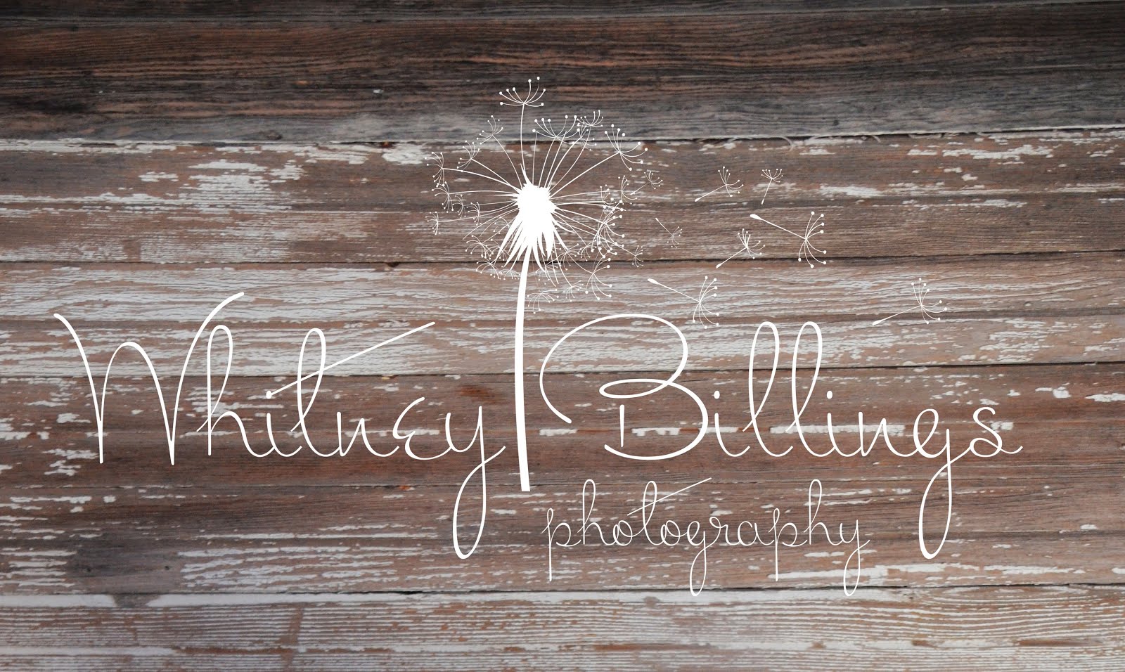 Whitney Billings Photography 