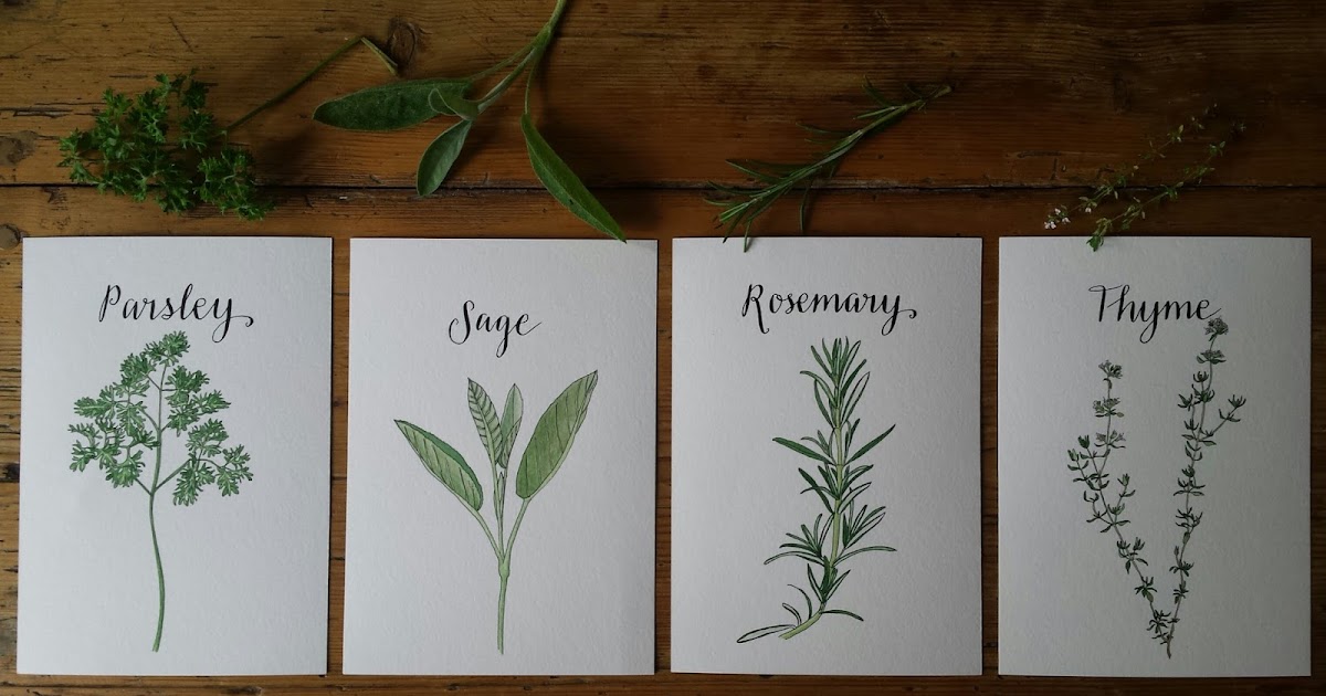 Alice Draws The Line Illustration, Hand Lettering and Bespoke