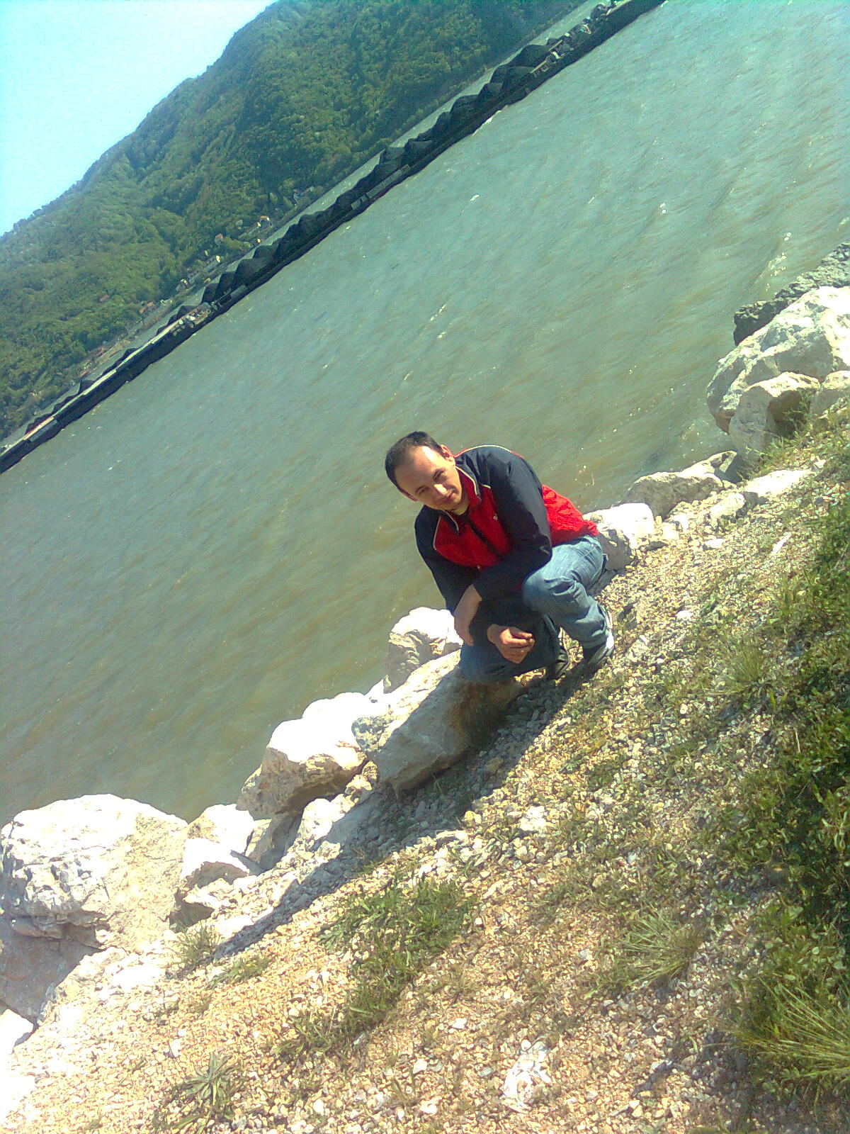 Filme muzica poze jocuri programe avatare Si Multe