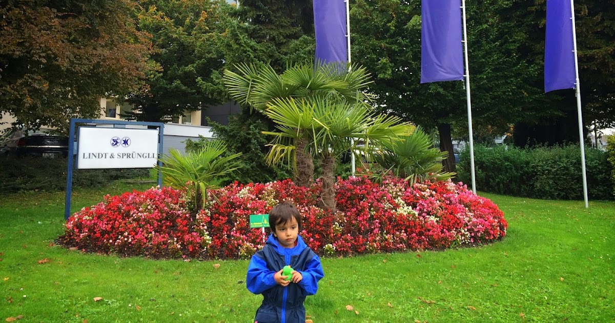 Gezgin Anne Çikolata Hikayeleri Mahallede Çikolata Fabrikası Var!